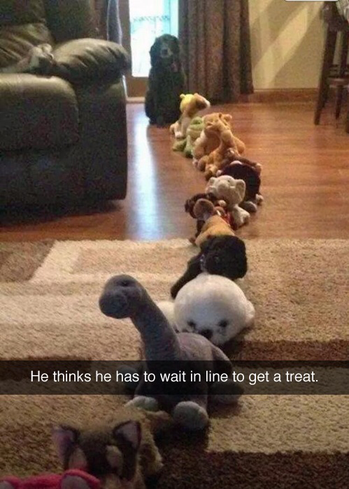 TheColIegeLife's tweet photo. the cutest thing I've seen today http://t.co/Zs3WBYXfMI