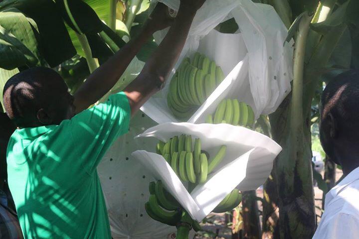 Image result for agritrans haiti