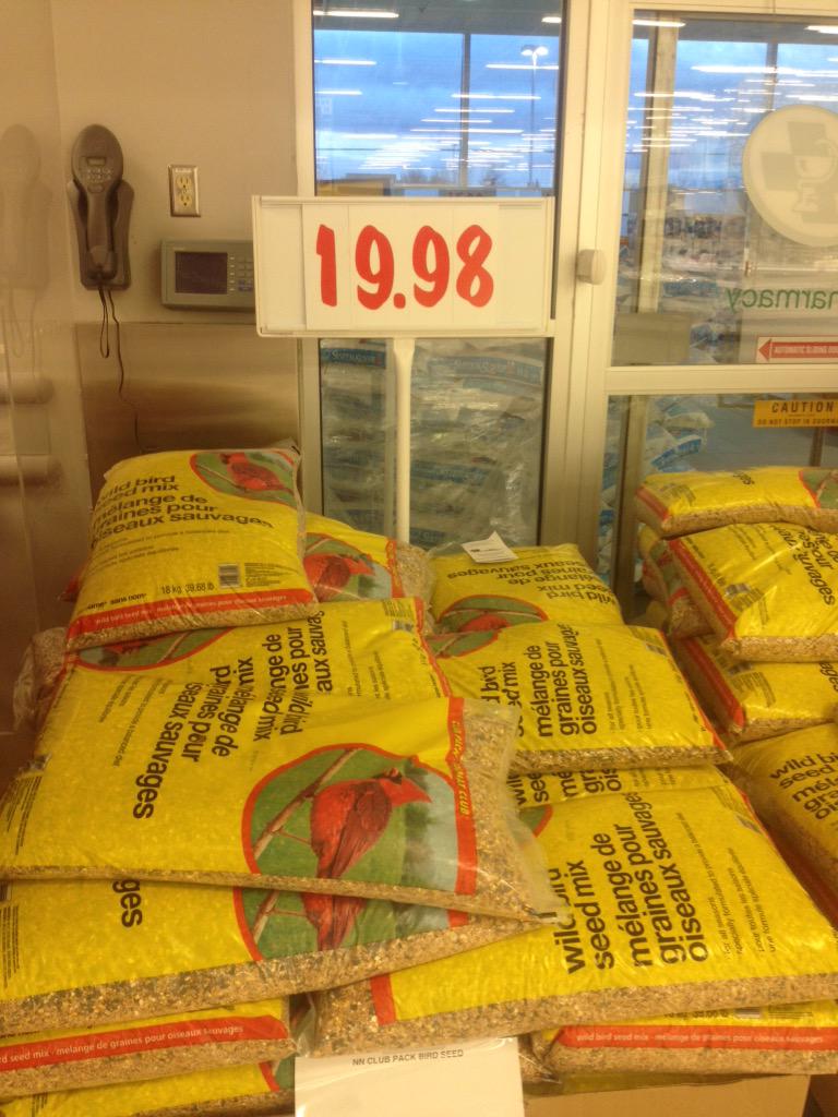 NickyRouleau's tweet photo. Hey @MattyGig bird food is on sale, just in case u wanna stock up. #Pigeon #SmallBod #PleaseEatSomething http://t.co/mSl7wUqQOC