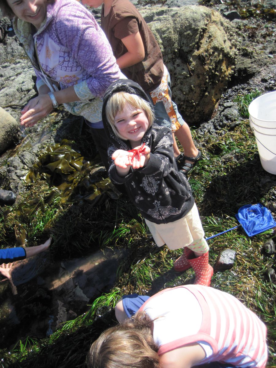 Fishguy_FHL's tweet photo. Maybe this is my #BestFieldWorkPic...Henricia and a really excited field assistant. http://t.co/kpwuwWM3hB