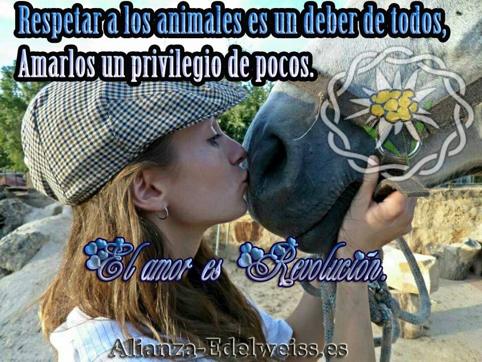 AlianzEdelweiss's tweet photo. Quien es cruel con los animales no puede ser buena persona. Arthur Schopenhauer. http://t.co/sywBcNKuuy
