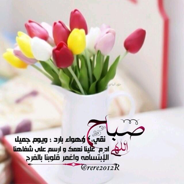 Suliman_Mehmadi's tweet photo. #صباح_الخير #picoftheday #sun #party #fun #butfirstletmetakeaselfie #flowerstagram #skywatcher #instabday #foliag... http://t.co/gQN6qRVO3l