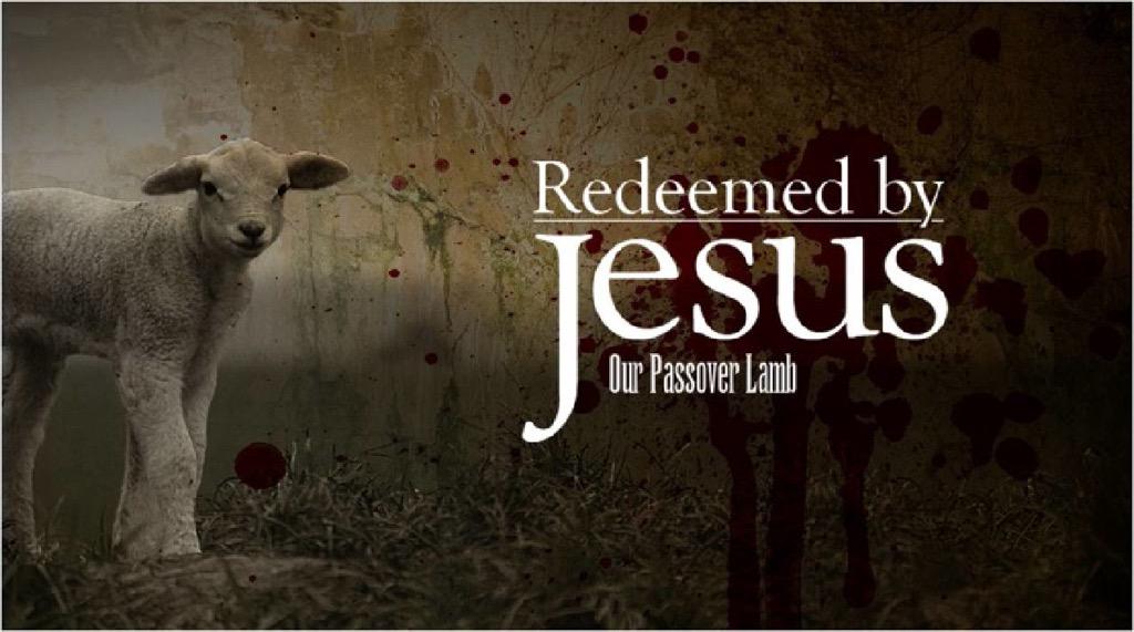 Ccangelsing's tweet photo. #Redeemed by R #SaviorJesus @Evadam7 @_OneNewMan @Sponkymusiclady @dtg9456 @pastord365 @HageeMinistries @Nehemiah9v6 http://t.co/ecyK5WYsRd