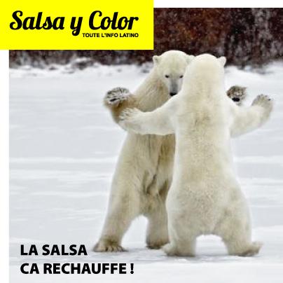 SalsayColor's tweet image. #salsa  #salsaycolor 
Cliquez pour découvrir notre sélection Salsa :
salsaycolor.com/#!music-salsa/…