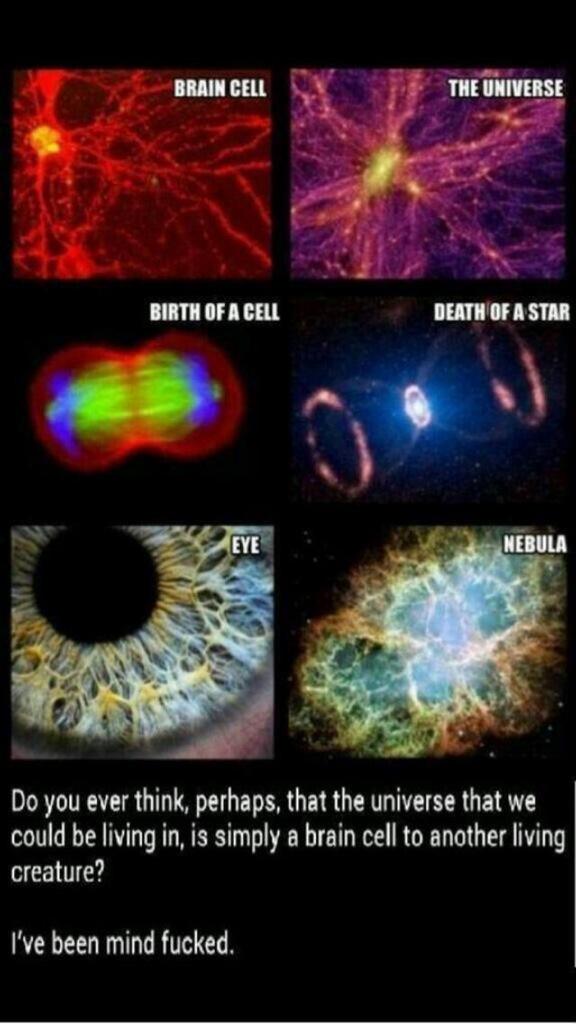 Decalcified's tweet photo. My thoughts exactly http://t.co/h7yR17Zzsr
