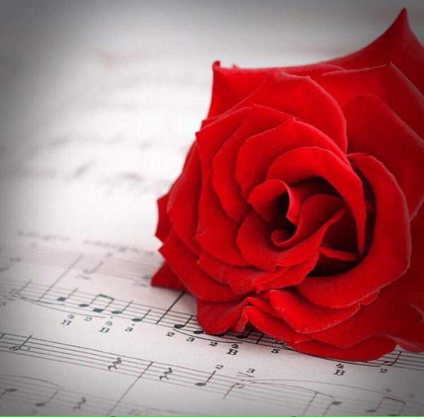 aml__aml's tweet photo. السَّعَادَه لَيْسَت دَائِمًا أَفْعَال كَبِيرَه غَالِبًا مَا تَكُون كَلِمَه بَسِيطَه لَكِنَّهَا بالمعنى عَمِيقَه. http://t.co/DCyGHQ4IBC