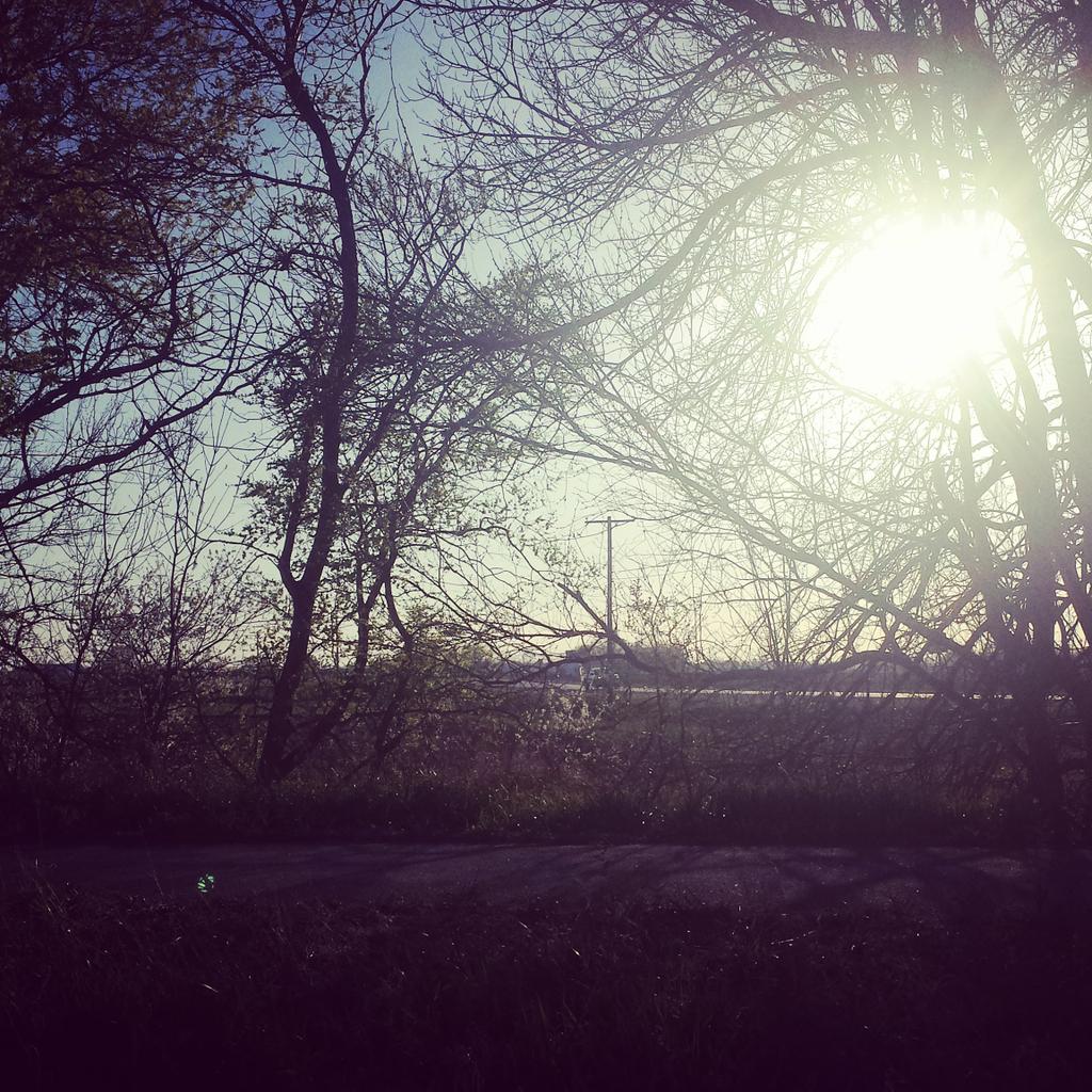 cristelle_belle's tweet photo. Great day at work, capped off by 5 mi run on this gorgeous eve :) Prayin' for the neighborhood! @prairielakes #PLC10 http://t.co/zWhyimRweA