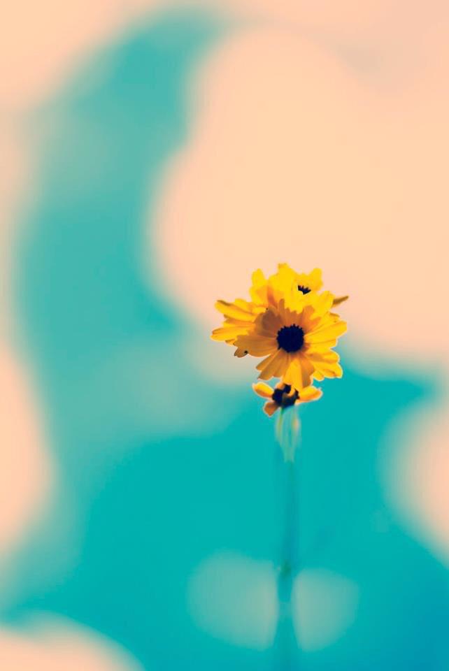 cmdonn's tweet image. 