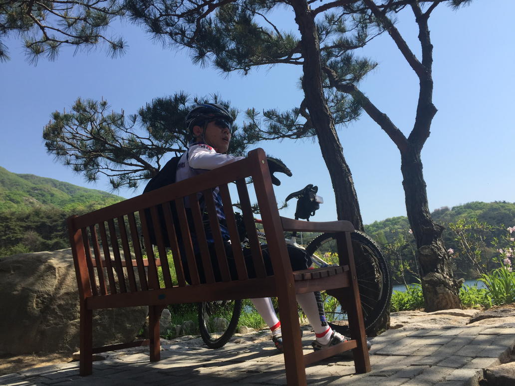 게으른 여행가 영나미 tweet media