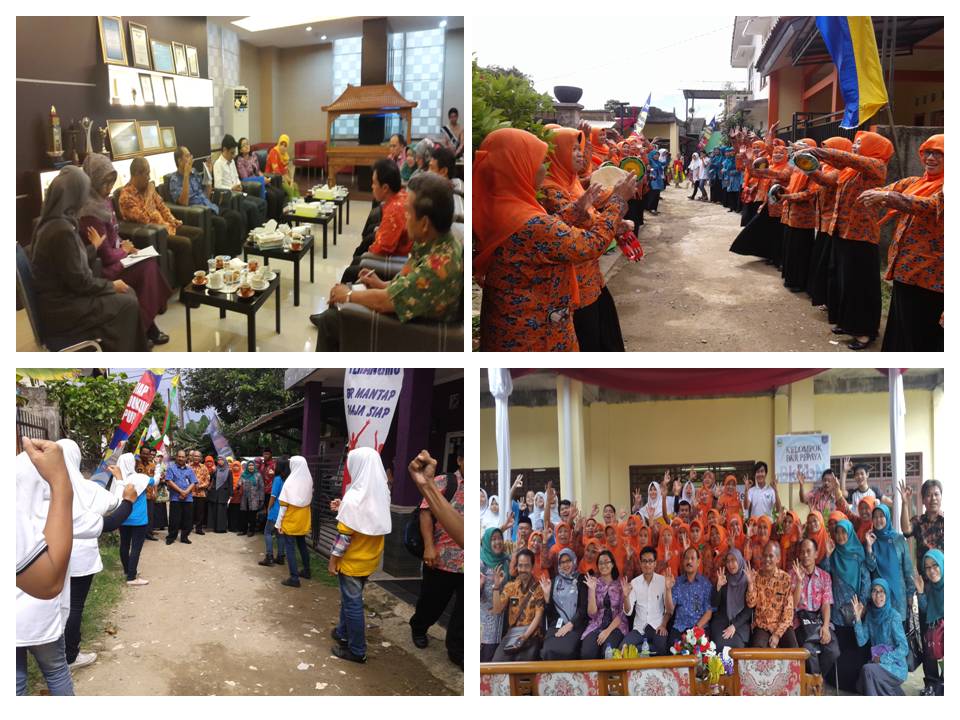 Bina Keluarga Remaja Kota Depok