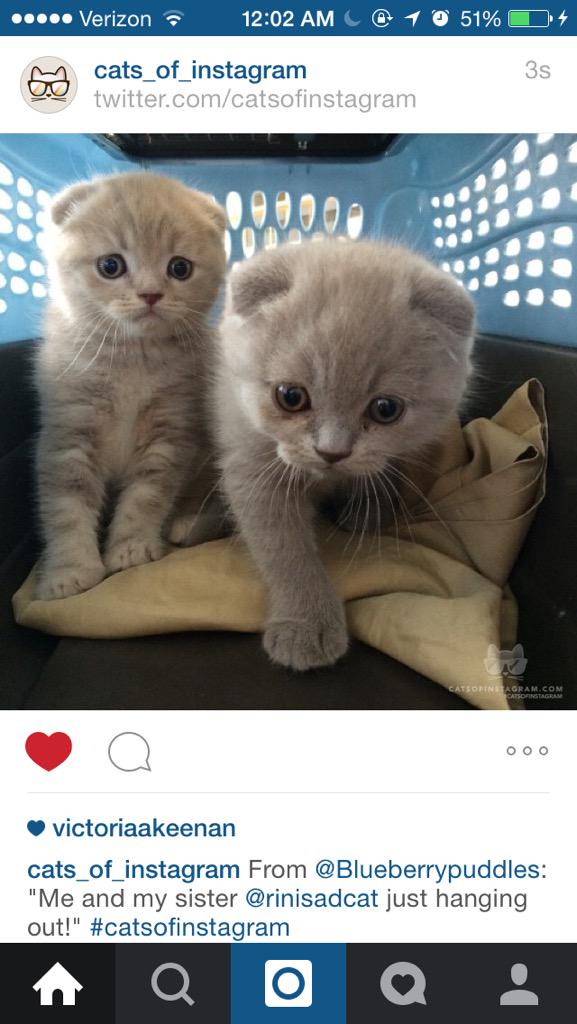 victoriaakeenan's tweet image. when's it time to admit you have a problem? #firstlike