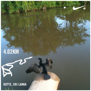 bandula1024's tweet photo. Enjoy what I saw I just ran 4.02 km @ a 10'34"/km pace with Nike+. http://t.co/WYRG94ucUd #nikeplus http://t.co/tNLR1UmSh1