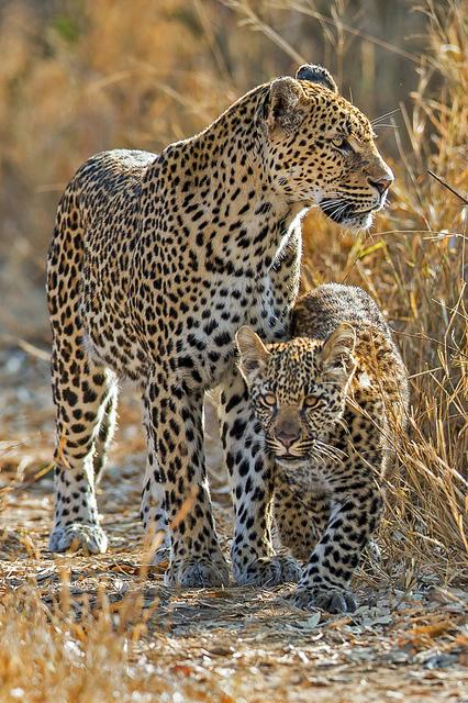 Salva (@_salomo) on Twitter photo 