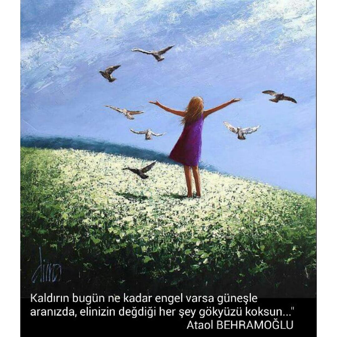 UzunDrya's tweet image. #kaldirin bugün ne kadar engel varsa güneşle aranızda,elinizin degdigi  hersey gökyüzü koksun... Ataol BEHRAMOGLU