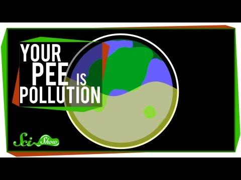 Your Pee is Pollution vid.staged.com/Irbp #staged