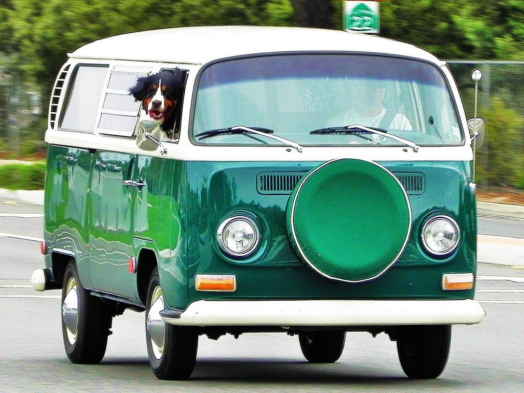 vanandgo's tweet photo. Viajar en furgo con tu mascota ➱ http://t.co/SNnLaVcuGy http://t.co/tLZ7m7WaYM