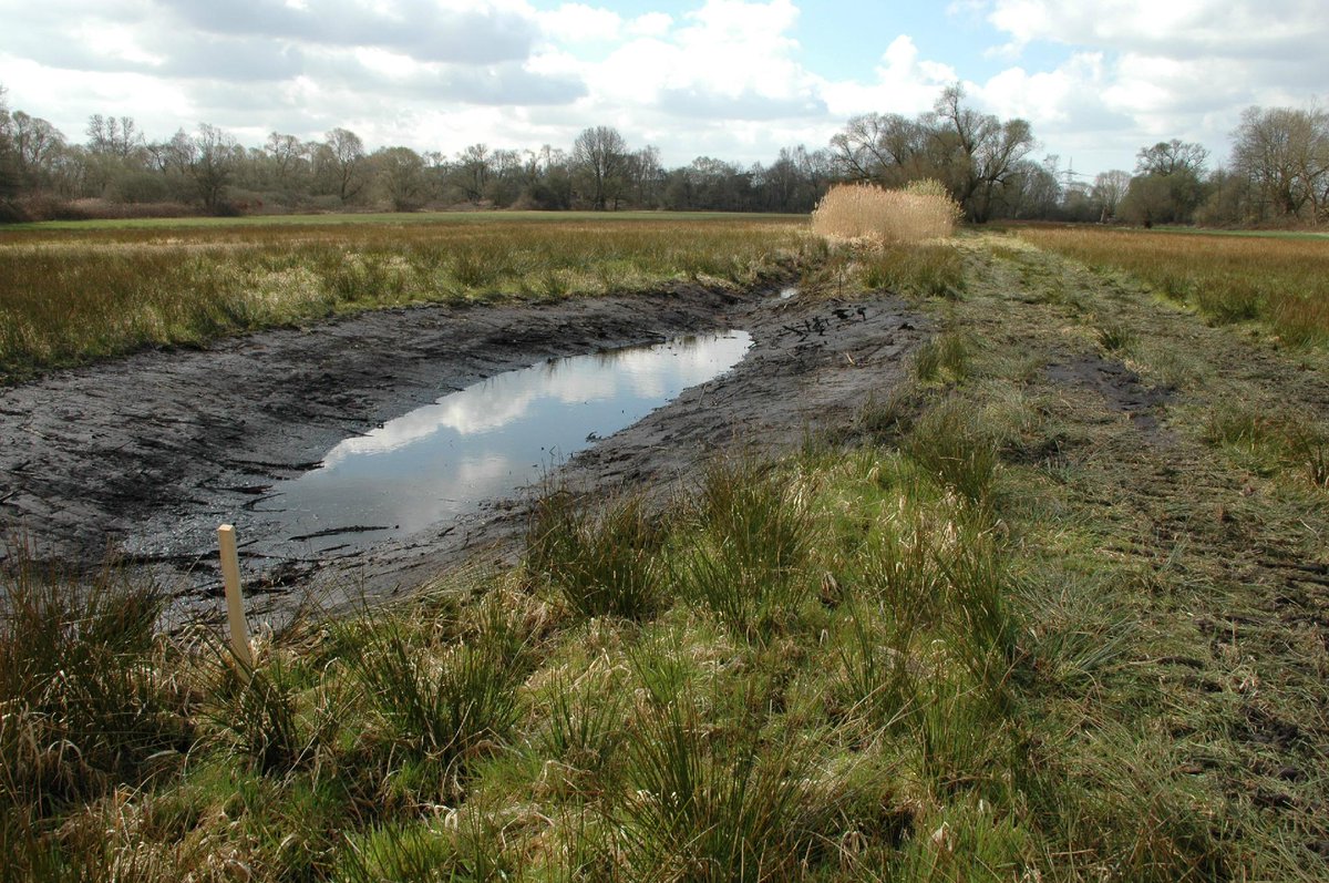 Grabenumgestaltung in Rastatter Bruchwiesen ist abgeschlossen.