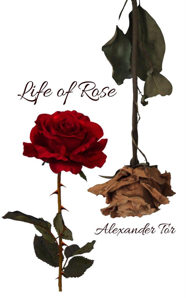 WordsOfAlexTor's tweet image. Look at this cover art that @falltheia gifted to me for my #LifeOfRose #Channillo series. So beautiful and fitting.