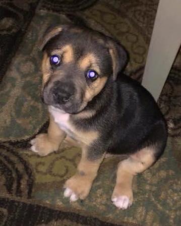 arkmichael's tweet image. Say Hello