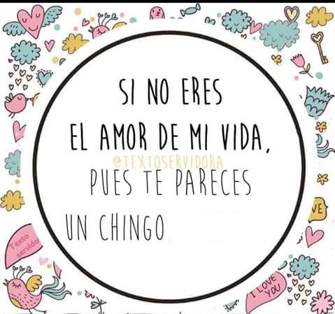 marijo_riveraf's tweet photo. hoy me dio por ser honesta, me vale madres, además se lo ganó a pulso @ianisguerrero 🙋😊😘
#nites
#dumin http://t.co/nqDzWvJAVh
