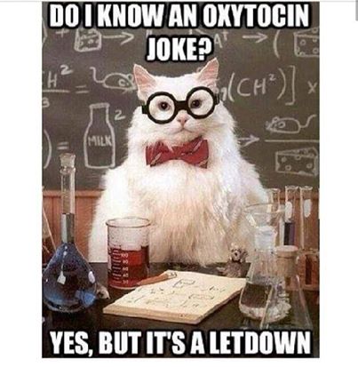 rainbowjo61's tweet photo. Start the day with an Oxytocin joke? http://t.co/1bH1yHlmF3