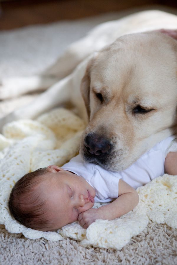 charmingpets1's tweet photo. Melt my heart!

#kids #kid #baby #babies #tiny #little #child #children #childrenphoto #love #cute #adorable http://t.co/tY3Y95Bi2y
