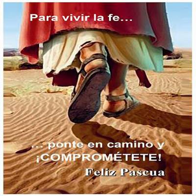 CatolicSevilla's tweet photo. Aprovecha la última oportunidad en el curso 2014-2015, invita a vivirlo y compartirlo en mayo:
http://t.co/b3J5uZXMiu http://t.co/pkv5DFUVes