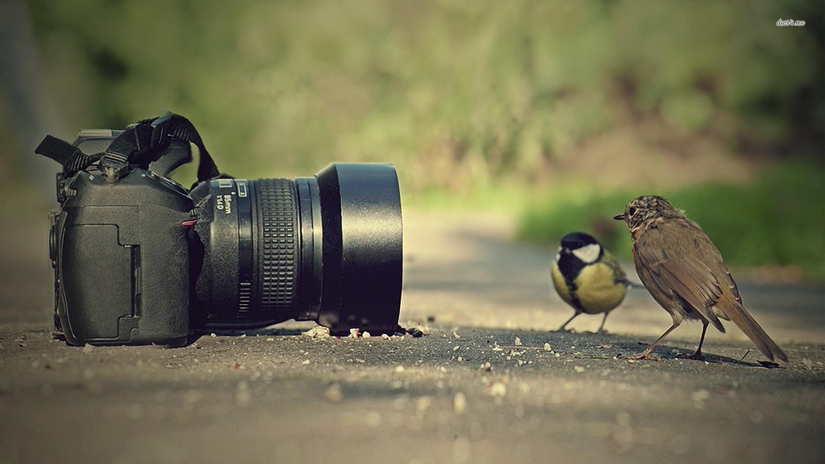 cuajman's tweet photo. Lecture on #digitalphotography by Mr. Adeeb Al Ani, CEO of #ArabPhotographersunion at CUCA on April 28, in Room F-17. http://t.co/9eNsURnB5n