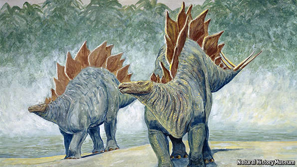 TheEconomist's tweet photo. If ever you wanted to know how to distinguish a boy stegosaurus from a girl stegosaurus http://t.co/n3c9GQ5j71 http://t.co/NUedWLsKfC