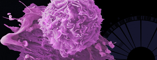 CambNetwork's tweet photo. Single cells seen in unprecedented detail http://t.co/ntlXRy00Tu #membernews from the @wellcometrust @sangerinstitute http://t.co/KhrO7YdSs1