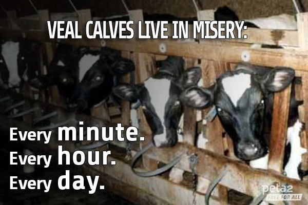 RT if you know it's INEXCUSABLE to treat babies this way!