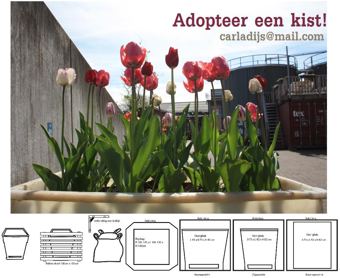 Allesbinder's tweet photo. Ondernemers adopteren kist voor #buurttuin op het #honigcomplex. Voor slechts 40€ positieve aandacht! Mail @paradijsv http://t.co/jv450Z6onS