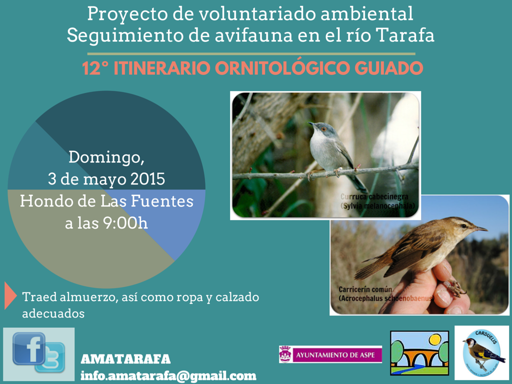 amatarafa tweet picture