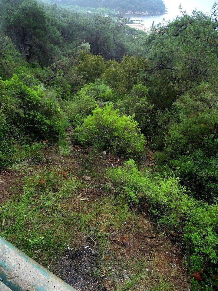 İki fotoğraf arasındaki çevreyi temizleyen 11 güzel yüreği bulun