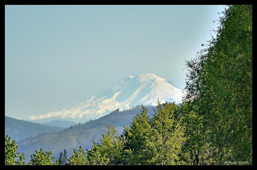 Looking north from Hood River, Oregon; early morning light shines on #MountAdams in Washington. #outdoors #travel