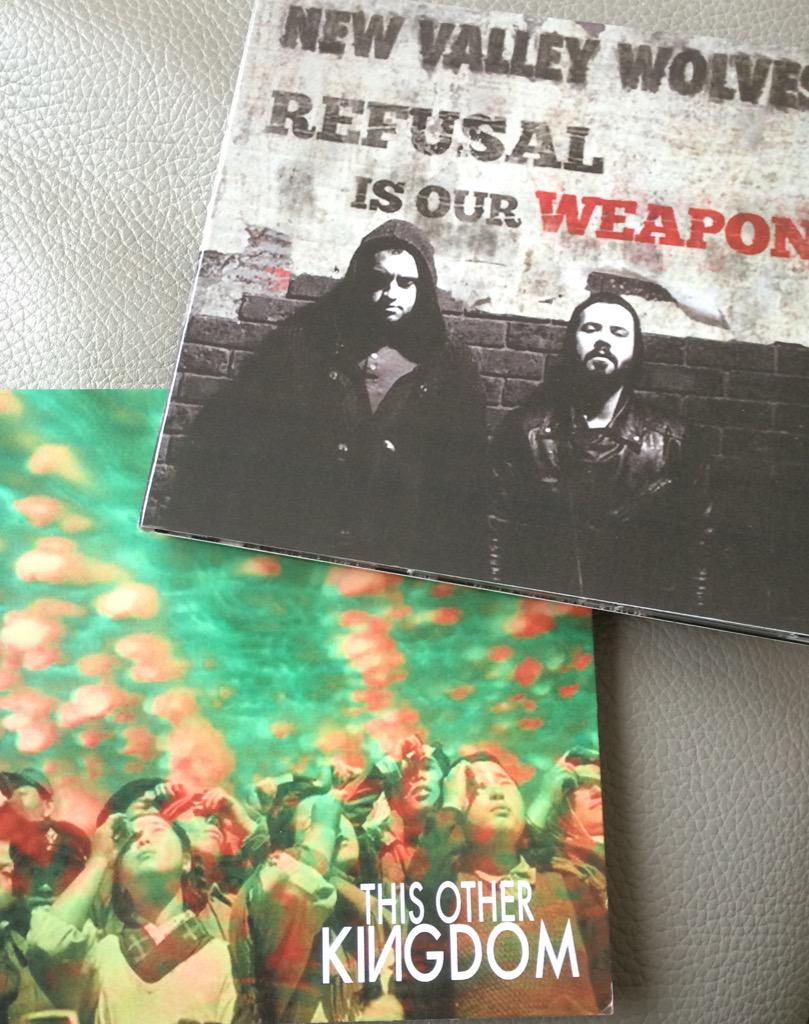 TinyVinyls's tweet photo. Today's haul - #newirishmusic @THISOTHERKINGDO @NewValleyWolves http://t.co/8G2Tv4IPmT
