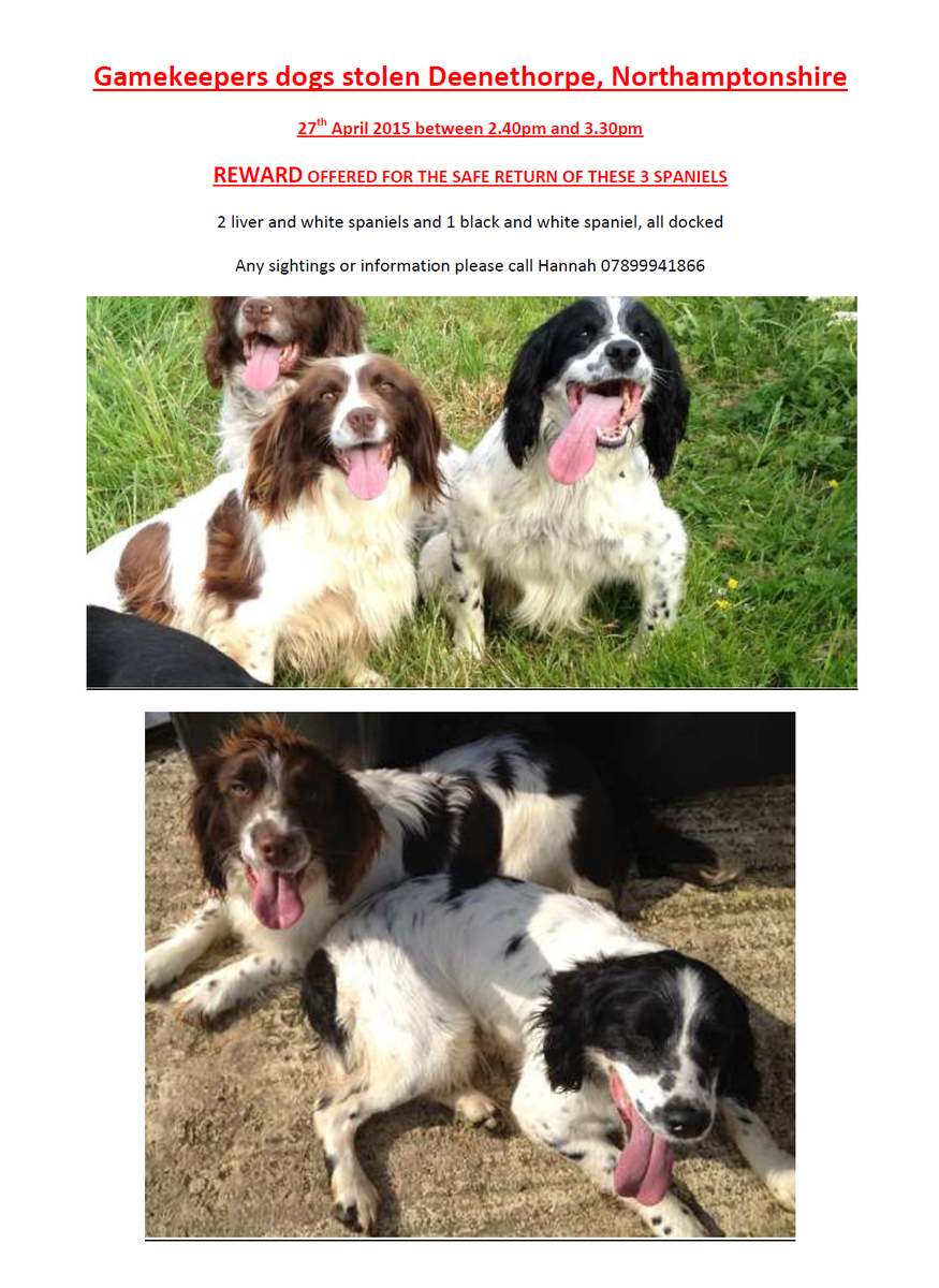 hanzoroberts's tweet image. Please help me get our stolen gundogs back and retweet my poster