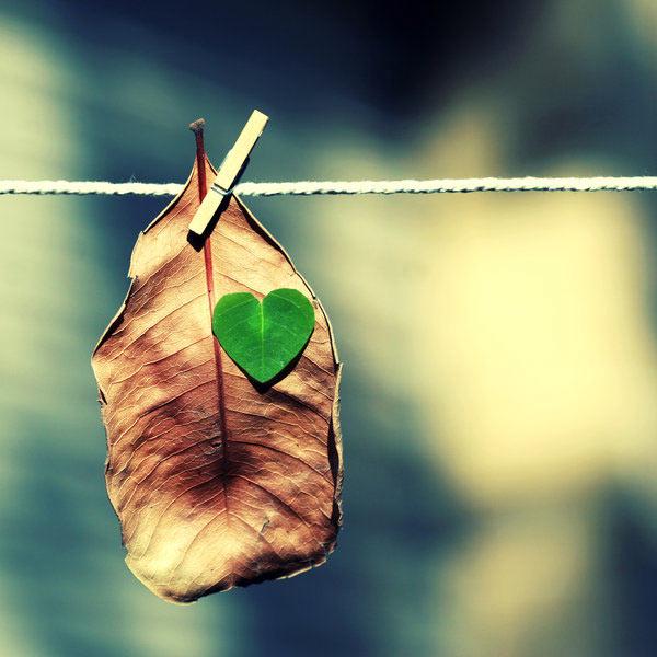 LessonOfLife_ tweet picture
