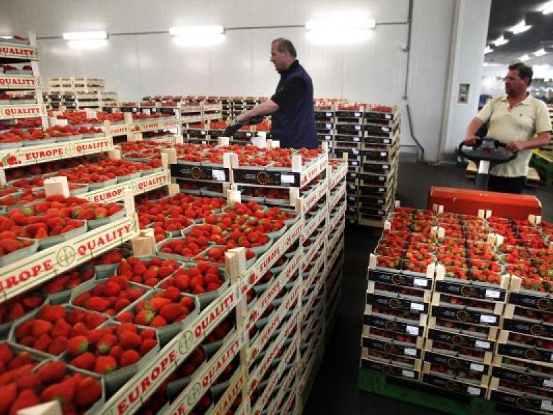Nieuwe kansen voor zachtfruit Zaltbommel
agf.nl/artikel/124917… <a href="/BouWal/">Boudewijn vd Wal</a>