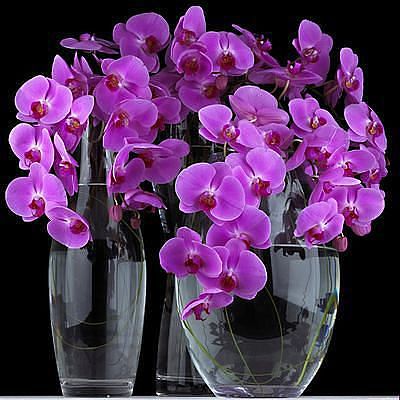 ele9061's tweet image. For all my followers :)))