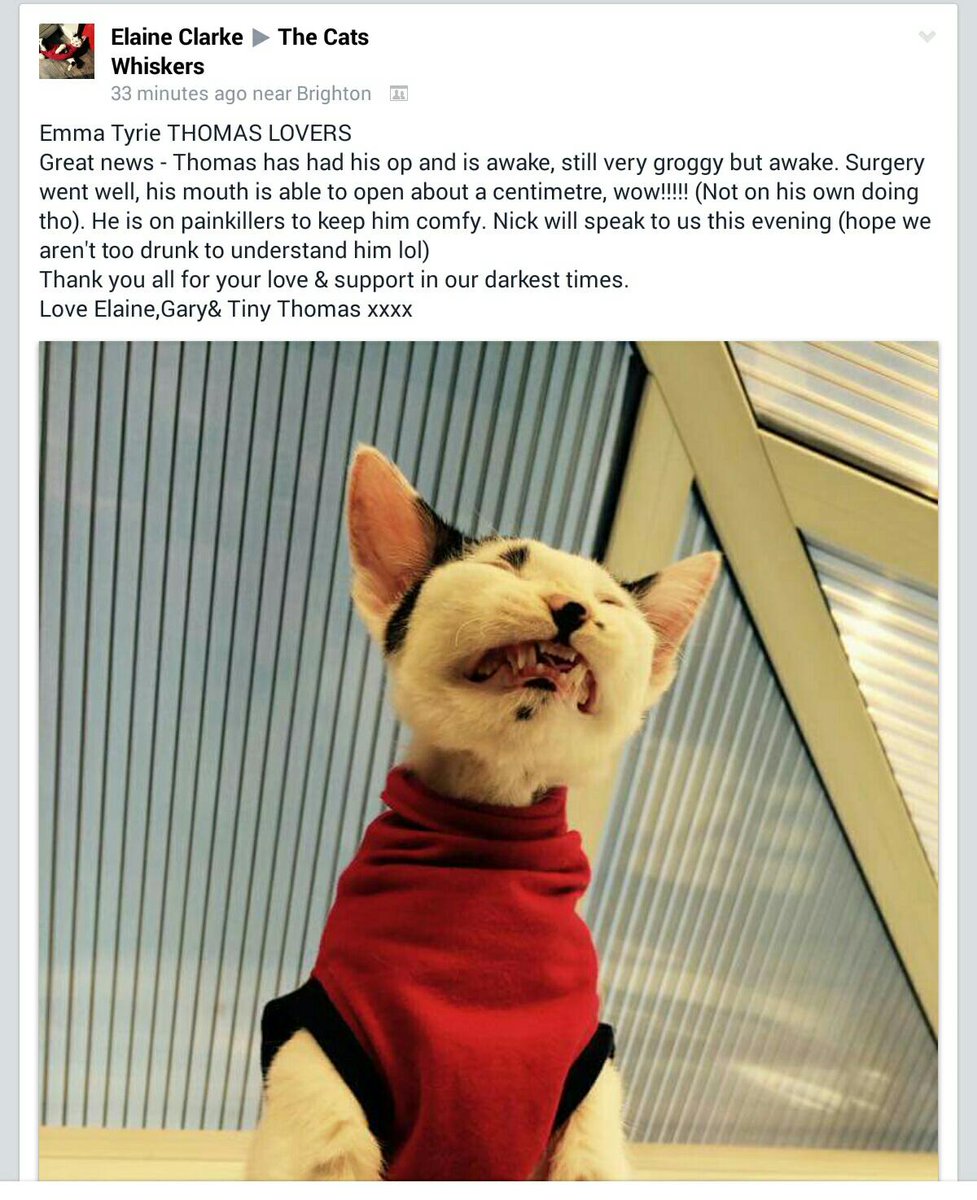 TeamThomasUK's tweet photo. great news everyone http://t.co/pTc78iYcq6