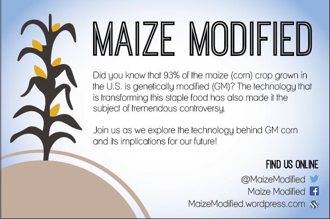 MaizeModified's tweet image. YOU MAIZE JOIN US TODAY AT GEORGETOWN UNI. 3520 PROSPECT STREET. 5pm.  #biotech #corn #GMOs