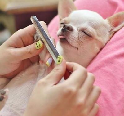 TrishaLottering's tweet image. 