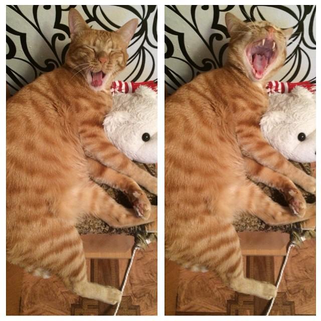 InstaAngarsk's tweet image. #InstaFrame #GPInstaFrame #InstaFramePlus #photography #instalike #bestoftheday #instadaily #GPOWER Made with @GPIn…