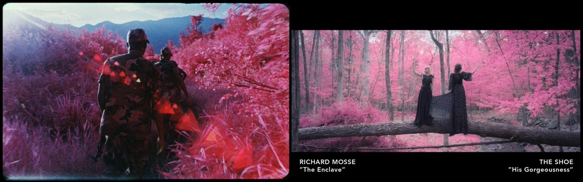 NotSoFastMedia's tweet photo. Someone found #RichardMosse camera and took it out for a spin. @theshoeperforms https://t.co/qLpC32v6NC via @NOWNESS http://t.co/gp6qokkvpc