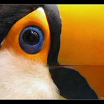 Photo by TF2can (@tf2can)