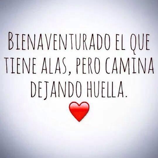 mariananding's tweet photo. 👏👍 @GinoPesaressi nunca dejaste ni dejamos de creer en ti sigue así proponiéndote algo y cumpliéndolo #YeahSchool 👏 http://t.co/1v8ynUeyBC