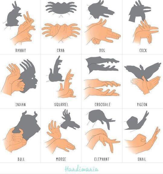 thoughts_'s tweet image. How to make shadow puppets with your hands.....