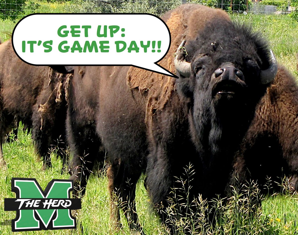 DowntownHWV's tweet photo. .@HerdBaseball takes on the WVU Mountaineers at Appalachian Power Park at 6PM tonight!! #GoHerd #HerdNation #BeatWVU http://t.co/NYTSUHId3H