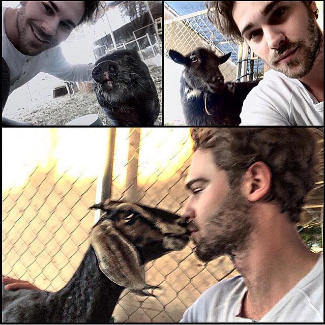 Grey_Whitehill's tweet photo. I enjoyed this petting zoo more than my daughter 🐐🐐🐖😍😘 http://t.co/3X9eNcM3tf